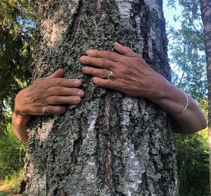 Forest Bathing in Stockholm nature with certified guide - The Value of a Guided Sensory Walk in Stockholm
