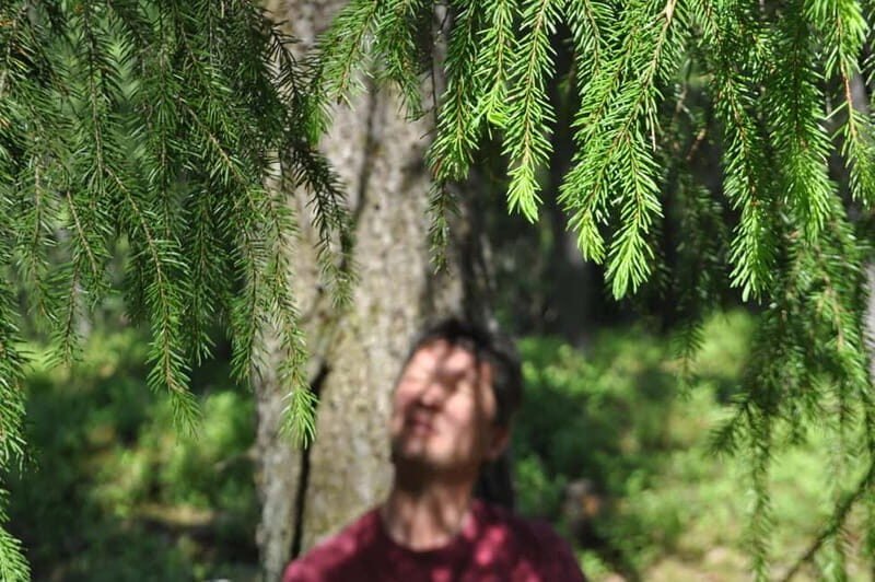 Forest Bathing in Stockholm nature with certified guide - FAQs