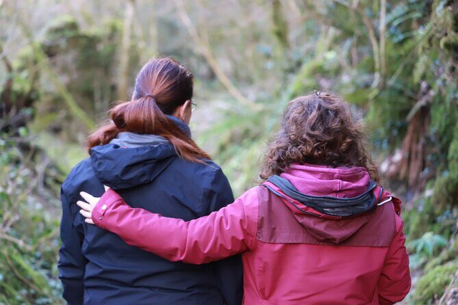 Forest Bathing in Tuscany with Wild Crafted Tea - The Itinerary: What to Expect on Your Journey