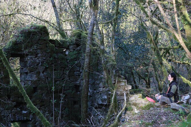 Forest Bathing in Tuscany with Wild Crafted Tea - Who Should Consider This Tour?