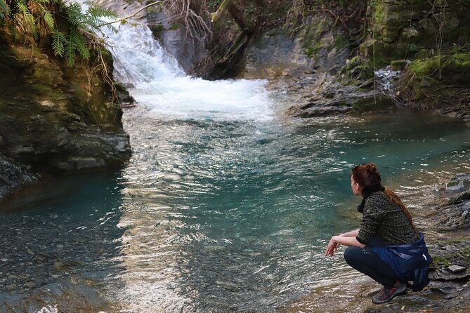 Forest Bathing in Tuscany with Wild Crafted Tea - Wrapping It Up