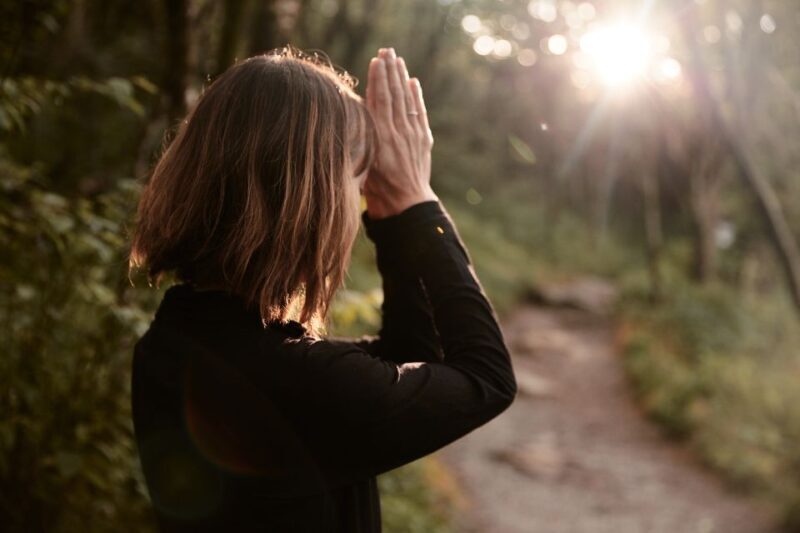 Forest Bathing & Nature Therapy Mini-Retreat - Key Points