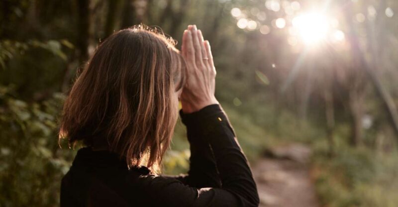 Forest Bathing & Nature Therapy Mini-Retreat - The Experience Itself: A Closer Look