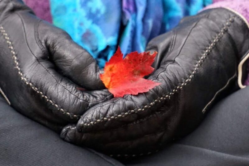 Forest Bathing & Nature Therapy Mini-Retreat - Final Thoughts