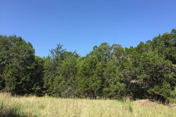 Forest Mindfulness and Embodiment Experience - Key Points