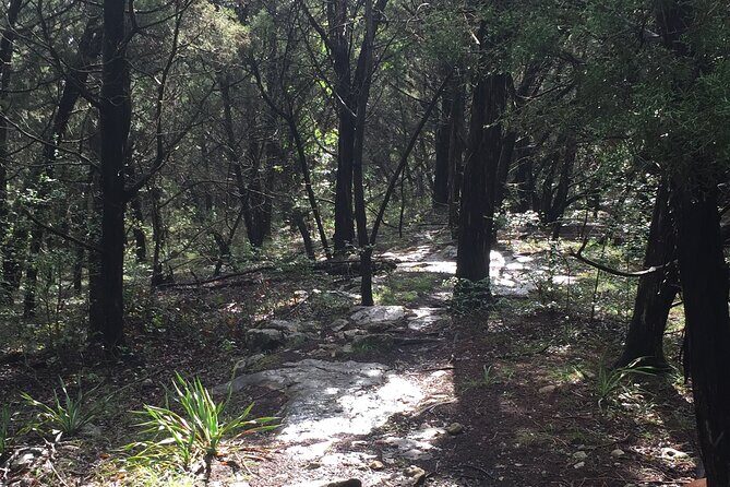 Forest Mindfulness and Embodiment Experience - Who Is This Experience Best For?