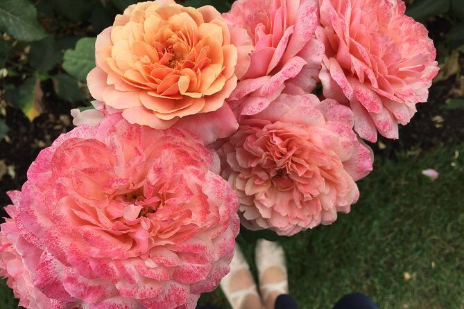 Forest Park Urban Hiking Tour, Portland - Who Should Consider This Tour?