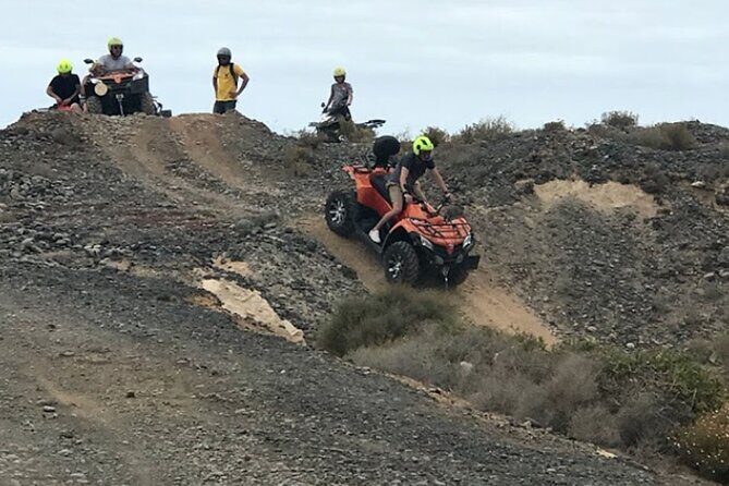 Forest Quad Trip in South Tenerife - Who Is This Tour Best For?