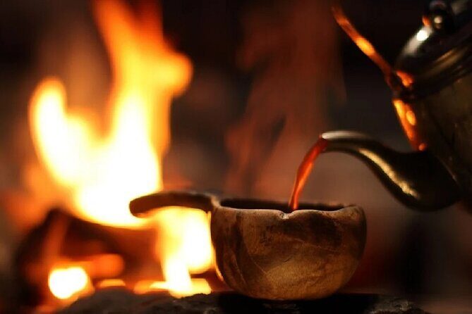 Forest Trail Reindeer Safari - Exploring the Forest Trail Reindeer Safari: A Genuine Look