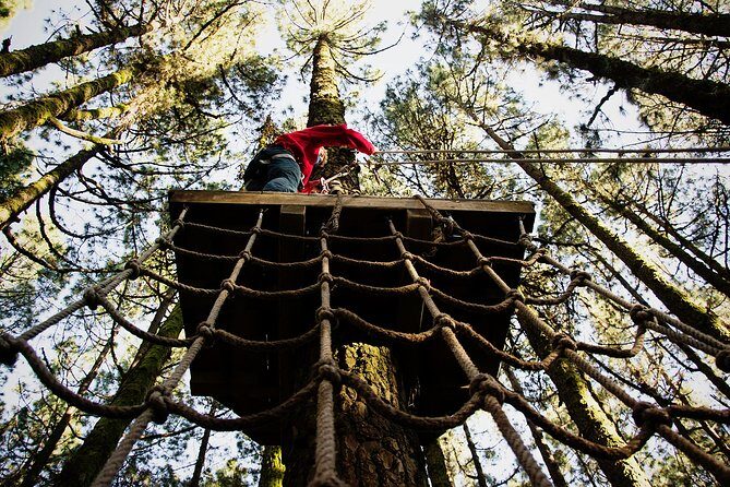Forestal Park Tenerife Entrance Ticket - Location and Accessibility