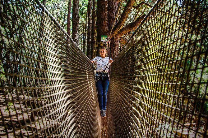 Forestal Park Tenerife Entrance Ticket - Who Should Consider This Experience?