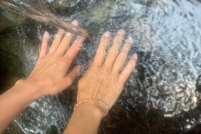 Forestbathing Slow Walking and Healing Spring Water, Stockholm - Who Will Enjoy This Tour?