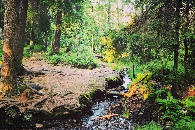Forestbathing Slow Walking and Healing Spring Water, Stockholm - FAQs