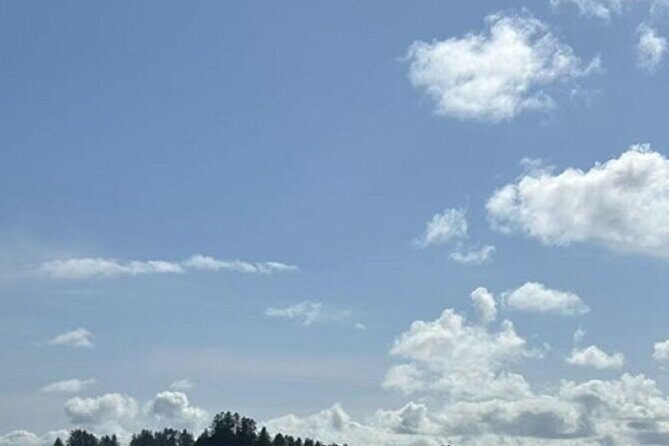 Forks Town, Twilight Movie, Olympic Small Group 1 Day Tour - Final Thoughts