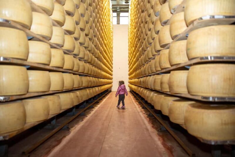 Formigine: Parmigiano tour with full tasting - Key Points