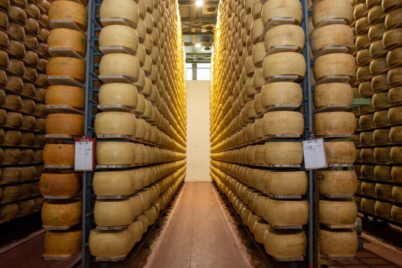 Formigine: Parmigiano tour with full tasting - Visiting the Barn and Calves