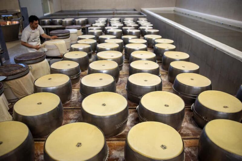 Formigine: Parmigiano tour with full tasting - What We Think About the Price and Value