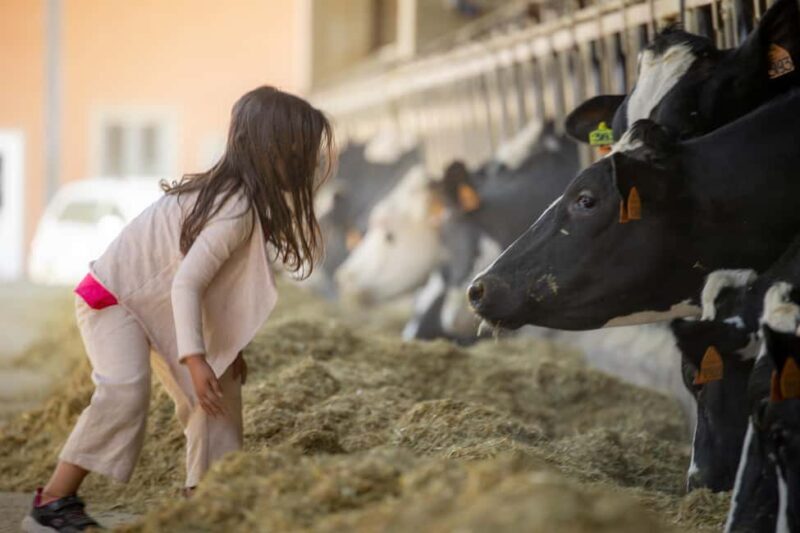 Formigine: Parmigiano tour with full tasting - FAQs