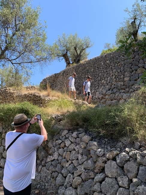 Fornalutx - hiking in the most beautiful valley in Mallorca - Who Should Consider This Tour?