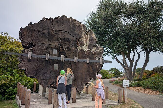 Fort Bragg California Scavenger Hunt Walking Activity and Game - FAQ