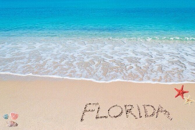 Fort Lauderdale Airport Private Transfer to Port Everglades - Who Should Consider This Transfer?