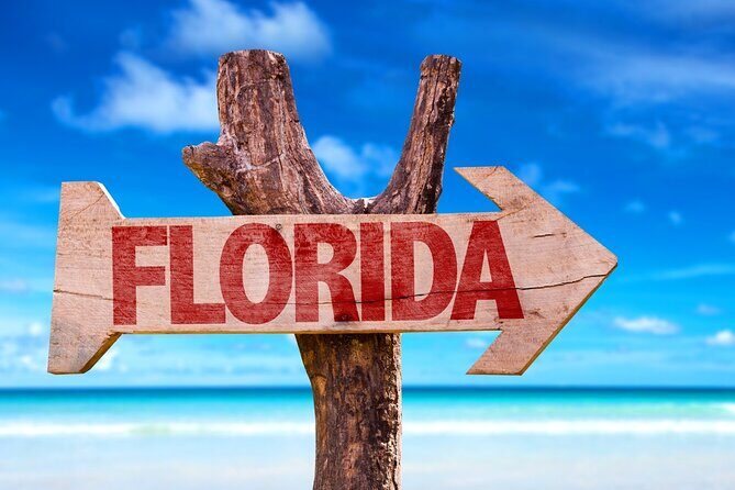 Fort Lauderdale Airport Private Transfer (Up To 14 Passengers) - Who Would Benefit Most?