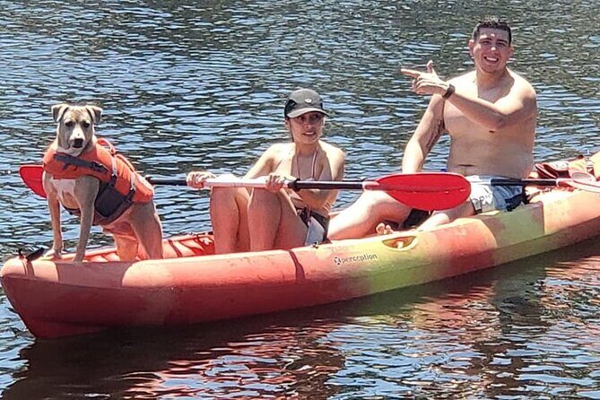 Fort Lauderdale Bonnet House Ground and Guided Paddle Board Kayak - What Makes This Tour Special?