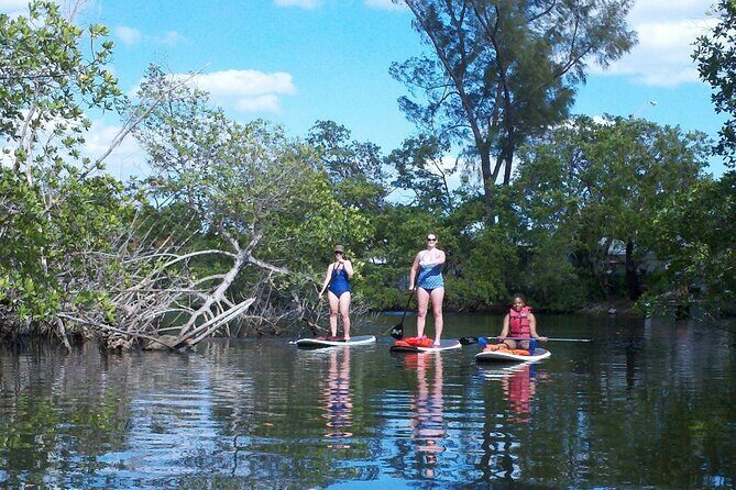Fort Lauderdale Bonnet House Ground and Guided Paddle Board Kayak - The Value of This Experience