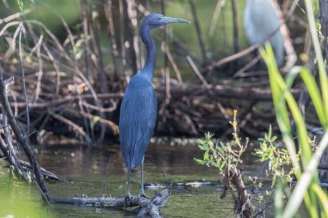 Fort Lauderdale Bonnet House Ground and Guided Paddle Board Kayak - Who Is This Tour Best Suited For?