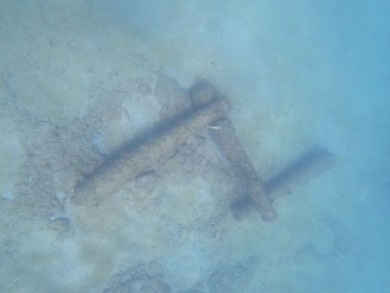 Fort Lauderdale: Guided Snorkeling Reef Tour and Lesson - Who Should Consider This Tour?