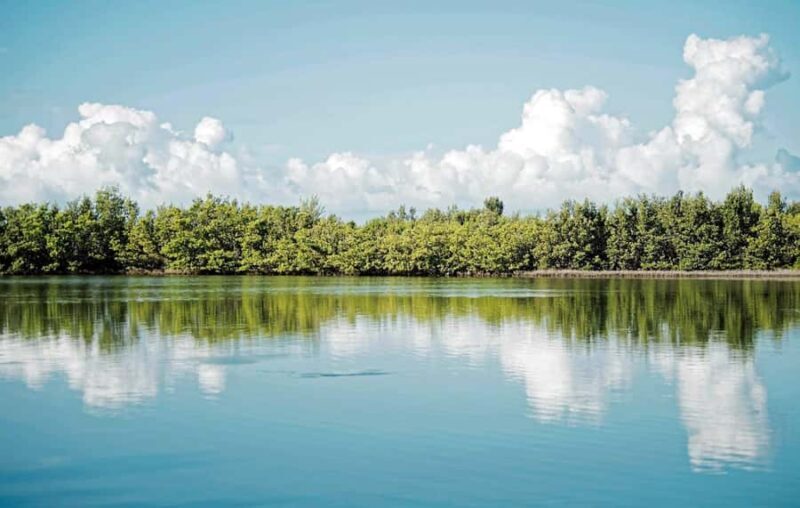 Fort Lauderdale to Islamorada Day Trip - Exploring the Fort Lauderdale to Islamorada Day Trip: A Practical Look