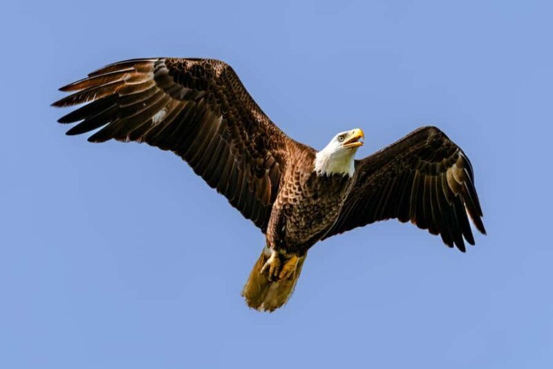 Fort Lauderdale to Islamorada Day Trip - FAQ