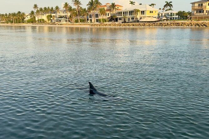 Fort Myers Beach Daytime 90 minute Round Tiki Boat Cruise - Frequently Asked Questions (FAQs)