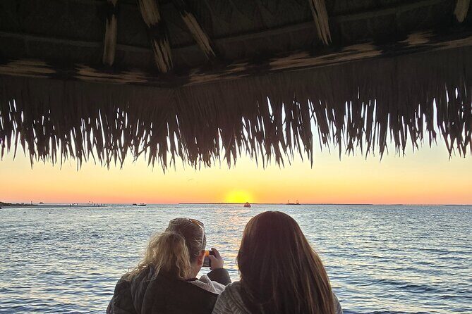 Fort Myers Beach Sightseeing with Shark Teeth and Shelling Tour - What to Expect from the Experience