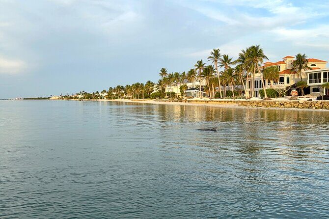 Fort Myers Beach Sightseeing with Shark Teeth and Shelling Tour - FAQ