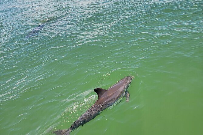 Fort Myers Beach Sunset Excursion - Authentic Guest Insights