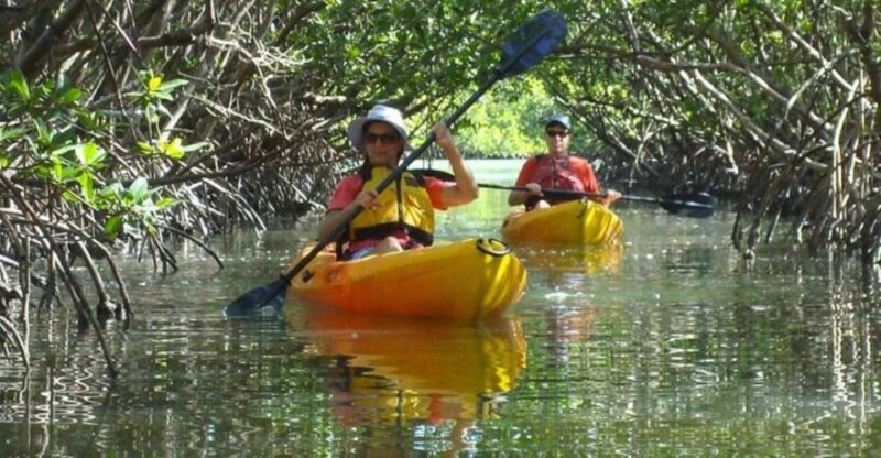 Fort Myers: Guided Kayak or SUP Tour in Pelican Bay - What is this tour all about?