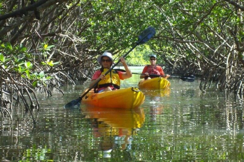 Fort Myers: Guided Kayak or SUP Tour in Pelican Bay - The itinerary: what to expect during the hour