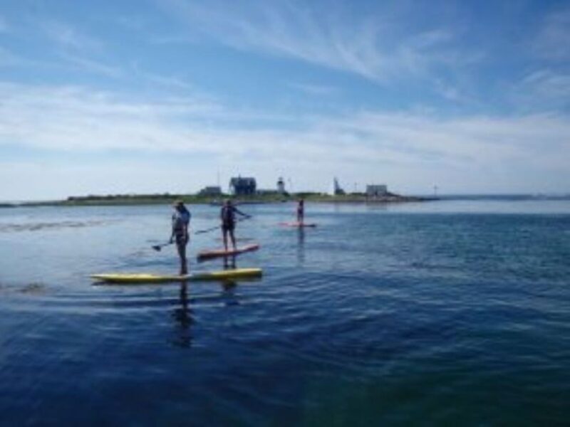 Fort Myers: Guided Kayak or SUP Tour in Pelican Bay - Price and value analysis