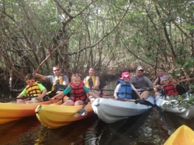 Fort Myers: Guided Kayaking Eco Tour in Pelican Bay - Key Points