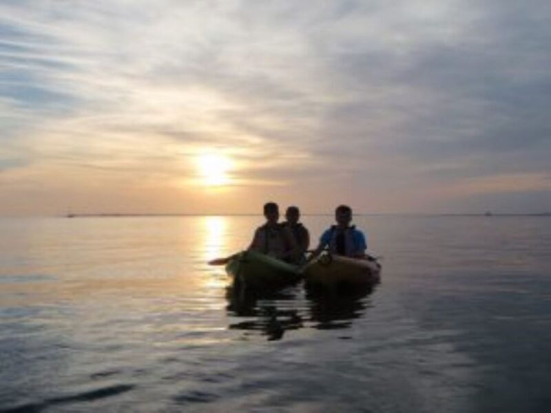 Fort Myers: Guided Sunset Kayaking Tour through Pelican Bay - The Itinerary: What Can You Expect?