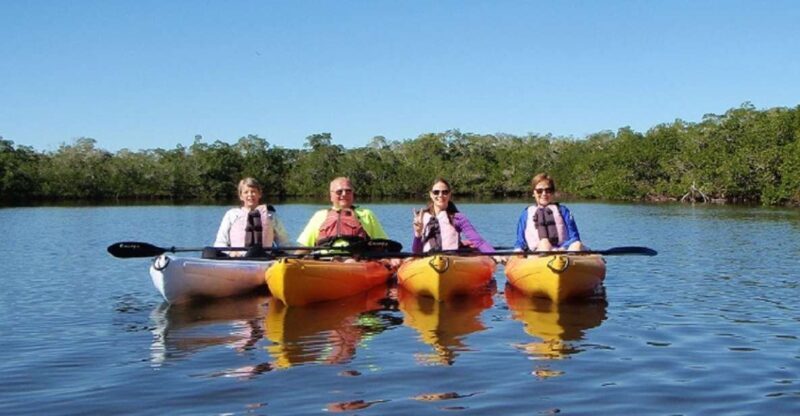 Fort Myers: Guided Sunset Kayaking Tour through Pelican Bay - Final Thoughts