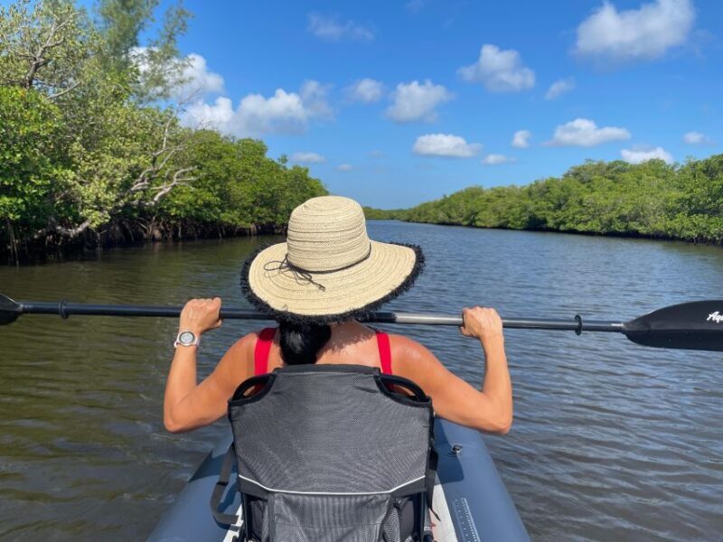 Fort Pierce: 4-hr Mangroves & Dolphin Watch Sandbar in FL - Key Points