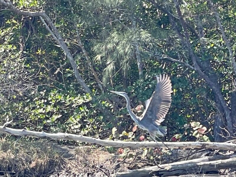 Fort Pierce: 8-hr Jungle and Lagoon passage to Ocean in FL - Who is This Tour Best Suited For?