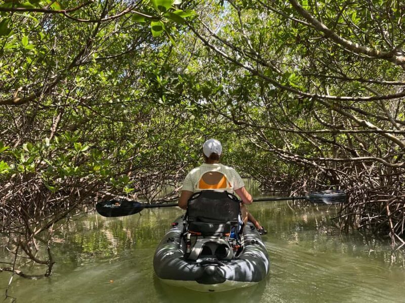 Fort Pierce: Prehistoric Preserve Kayak Tour - What Makes This Tour Special