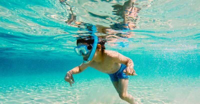 Fort Walton Beach: Morning Dolphin Cruise with Snorkel Stop - An honest look at what this tour offers