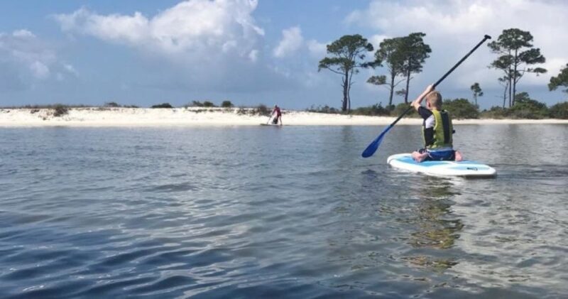 Fort Walton Beach: Paddle Board Rental - The Scenic Beauty and Wildlife Encounters