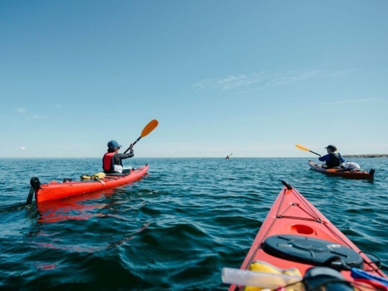 Fort Walton Beach: Tandem Kayak Rental - What to Expect During Your Kayak Adventure