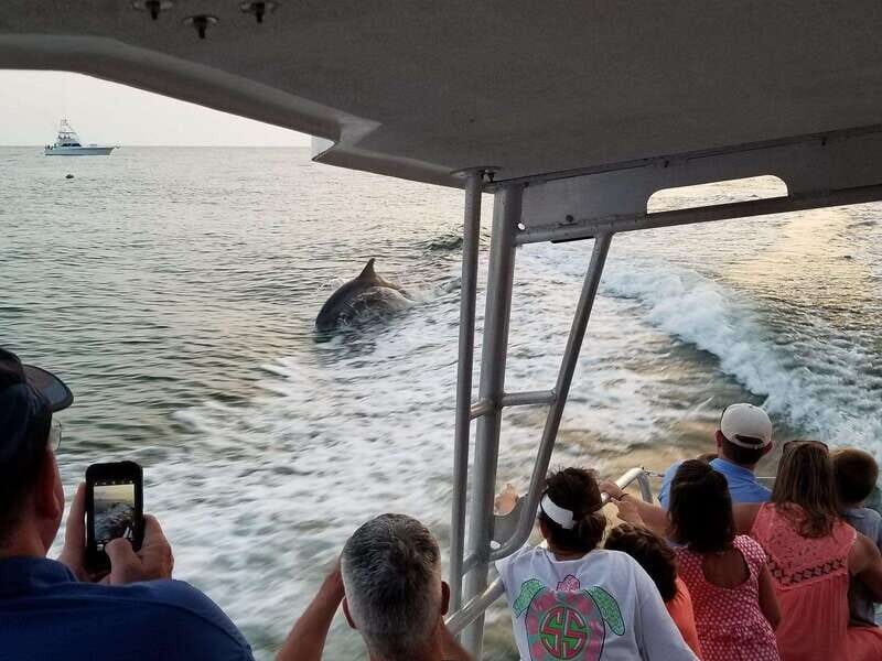 Fort Walton: Dolphin Discovery and Snorkeling Cruise - The Experience in Detail