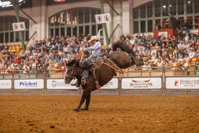 Fort Worth Championship Rodeo and Stockyards Tour - Is This Tour Right for You?